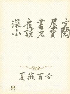 深夜书屋完整版小说免费阅读