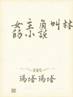 女主角叫林念念的小说封面