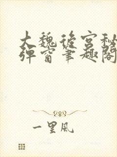 大魏后宫秘史无弹窗笔趣阁