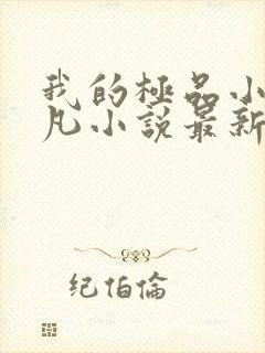 我的极品小姨叶凡小说最新章节列表封面