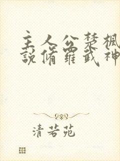 主人公楚枫的小说修罗武神封面