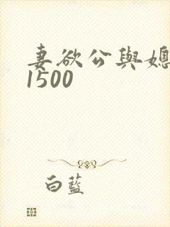 妻欲公与媳瑶瑶1500封面