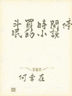 斗罗时间停止催眠的小说