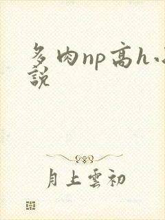 多肉np高h小说封面