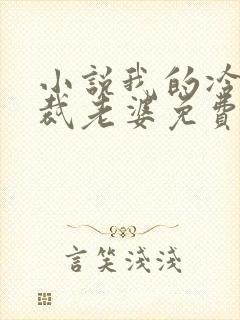 小说我的冷艳总裁老婆免费阅读