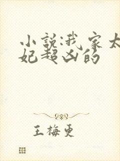 小说:我家太子妃超凶的