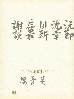 谢序川沈沅珠小说最新章节免费阅读
