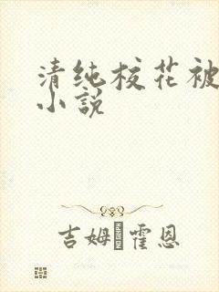 清纯校花被日常小说