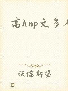 高hnp文多人