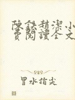 陈铁赵洁小说免费阅读全文最新章节