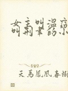 女主叫温窈男主叫刑聿的小说