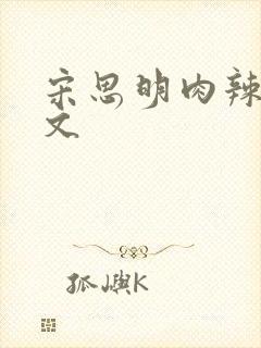 宋思明肉辣文h文