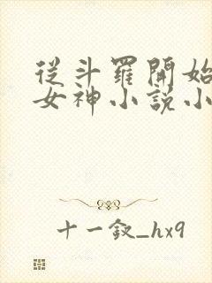 从斗罗开始俘获女神小说小说封面