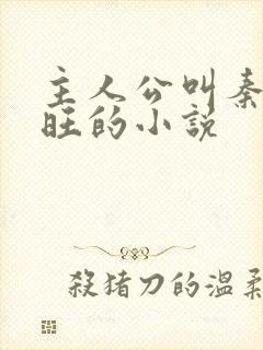 主人公叫秦雨老旺的小说