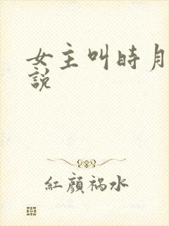 女主叫时月的小说