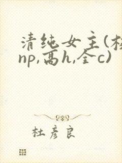 清纯女主(校园np,高h,全c)