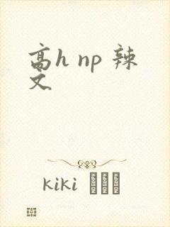高h np 辣文