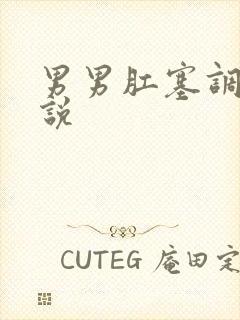 男男肛塞调教小说