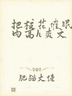 把校花催眠了纯肉高h爽文