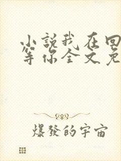 小说我在回忆里等你全文免费阅读