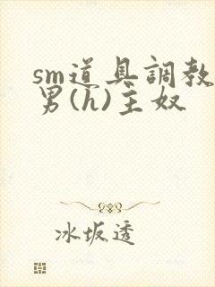 sm道具调教男男(h)主奴