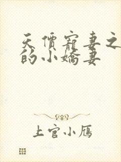 天价宠妻之霍总的小娇妻