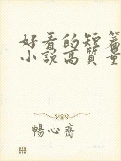 好看的短篇言情小说高质量文笔好