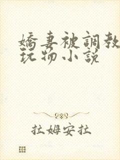 娇妻被调教沦为玩物小说