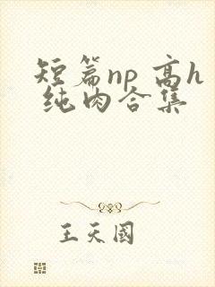 短篇np 高h 纯肉合集