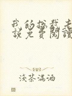 我的总裁老婆小说免费阅读