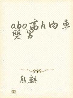 abo高h肉车双男