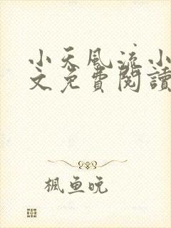 小天风流小说全文免费阅读无弹窗