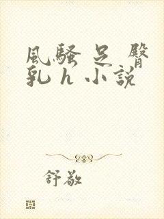 风骚 足 臀 乳 h 小说