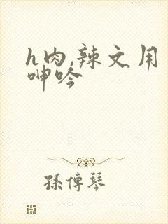 h肉,辣文用力呻吟