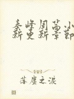 秦峰周茜小说最新更新章节免费阅读全文