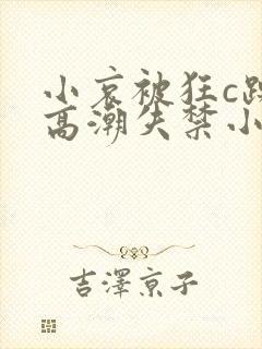 小哀被狂c躁到高潮失禁小说