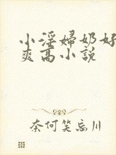 小淫妇奶好大好爽高小说封面