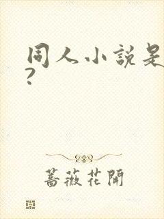 同人小说是什么?封面