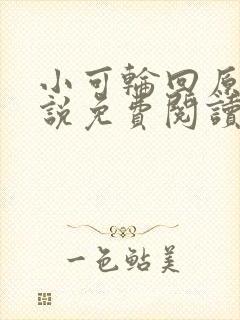 小可轮回原著小说免费阅读
