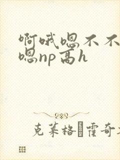 啊哦嗯不不要哦嗯np高h