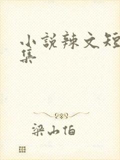 小说辣文短篇合集