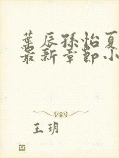 叶辰孙怡夏若雪最新章节小说心