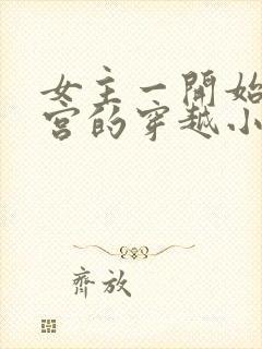 女主一开始在冷宫的穿越小说封面