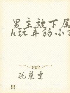 男主被下属调教h玩弄的小说