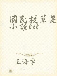 国民校草是女生小说txt