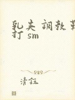 乳夹 调教 鞭打 sm封面