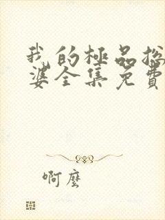 我的极品总裁老婆全集免费