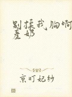 别揉我胸啊嗯h产奶封面