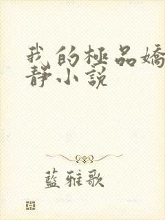 我的极品娇妻张静小说