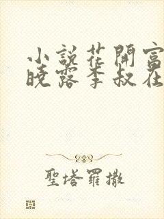 小说花开富贵赵晓露李叔在线阅读全文封面